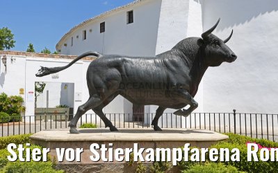 Stier vor Stierkampfarena Ronda 26.05.2015