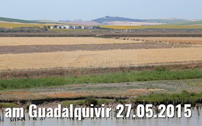 am Guadalquivir 27.05.2015