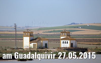 am Guadalquivir 27.05.2015