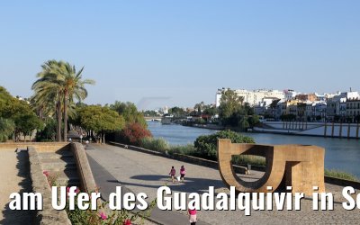 am Ufer des Guadalquivir in Sevilla 27.05.2015