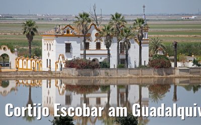 Cortijo Escobar am Guadalquivir 27.05.2015