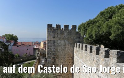 auf dem Castelo de Sao Jorge in Lissabon 29.05.2015