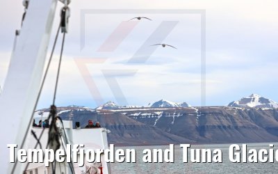 Tempelfjorden and Tuna Glacier 24.06.2022