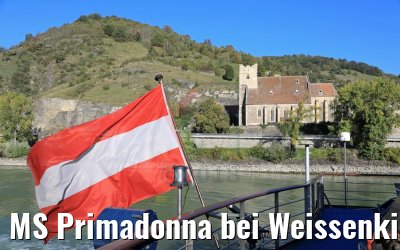 MS Primadonna bei Weissenkirchen in der Wachau