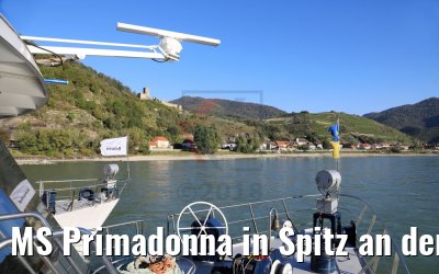 MS Primadonna in Spitz an der Donau