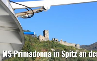 MS Primadonna in Spitz an der Donau