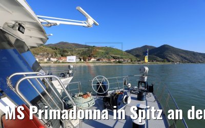 MS Primadonna in Spitz an der Donau