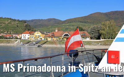 MS Primadonna in Spitz an der Donau