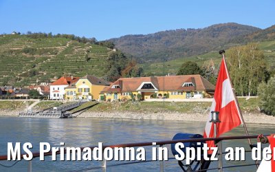 MS Primadonna in Spitz an der Donau