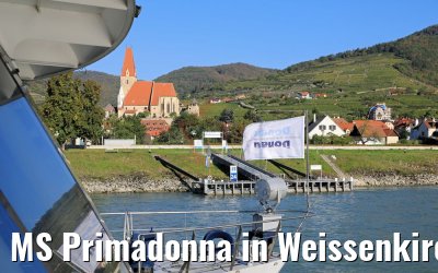 MS Primadonna in Weissenkirchen an der Donau