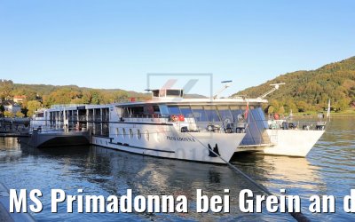 MS Primadonna bei Grein an der Donau