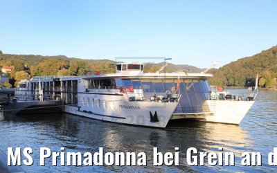 MS Primadonna bei Grein an der Donau