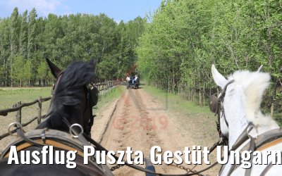 Ausflug Puszta Gestüt Ungarn bei Budapest 01.05.2019