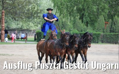 Ausflug Puszta Gestüt Ungarn bei Budapest 01.05.2019