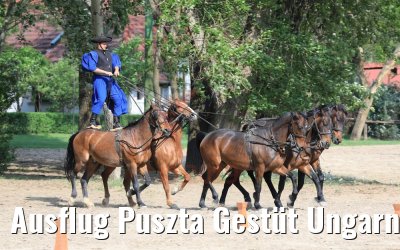 Ausflug Puszta Gestüt Ungarn bei Budapest 01.05.2019