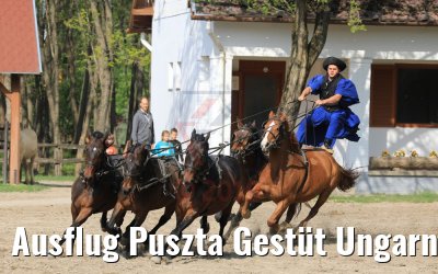 Ausflug Puszta Gestüt Ungarn bei Budapest 01.05.2019