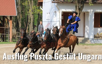 Ausflug Puszta Gestüt Ungarn bei Budapest 01.05.2019