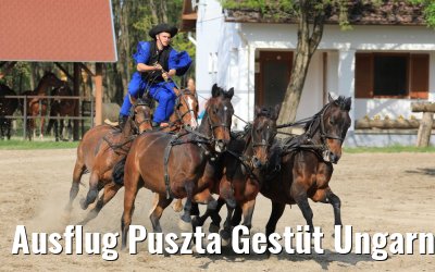Ausflug Puszta Gestüt Ungarn bei Budapest 01.05.2019