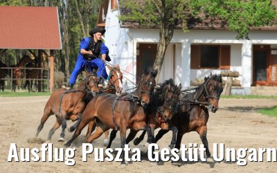 Ausflug Puszta Gestüt Ungarn bei Budapest 01.05.2019