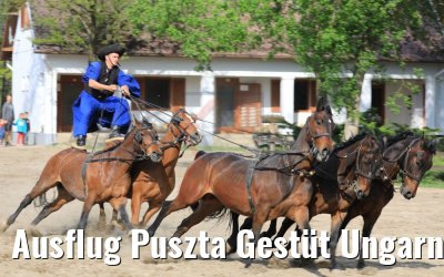 Ausflug Puszta Gestüt Ungarn bei Budapest 01.05.2019