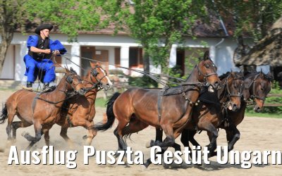 Ausflug Puszta Gestüt Ungarn bei Budapest 01.05.2019