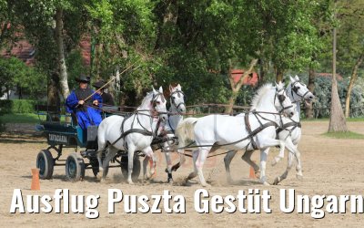 Ausflug Puszta Gestüt Ungarn bei Budapest 01.05.2019