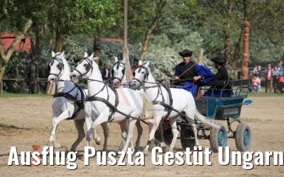 Ausflug Puszta Gestüt Ungarn bei Budapest 01.05.2019