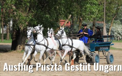Ausflug Puszta Gestüt Ungarn bei Budapest 01.05.2019