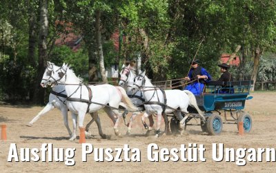 Ausflug Puszta Gestüt Ungarn bei Budapest 01.05.2019