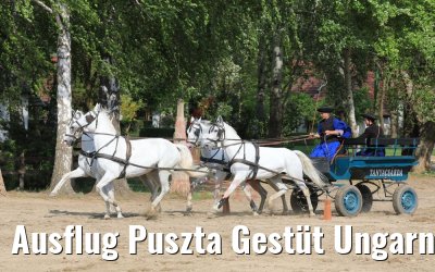 Ausflug Puszta Gestüt Ungarn bei Budapest 01.05.2019