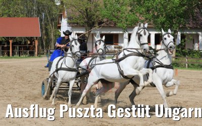 Ausflug Puszta Gestüt Ungarn bei Budapest 01.05.2019