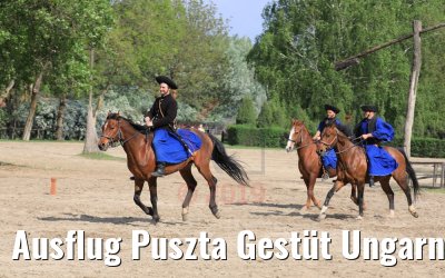 Ausflug Puszta Gestüt Ungarn bei Budapest 01.05.2019
