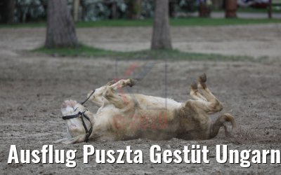 Ausflug Puszta Gestüt Ungarn bei Budapest 01.05.2019