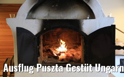 Ausflug Puszta Gestüt Ungarn bei Budapest 01.05.2019