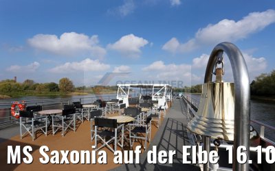 MS Saxonia auf der Elbe 16.10.2016