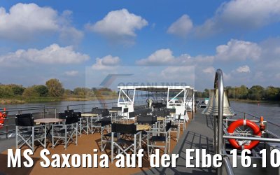 MS Saxonia auf der Elbe 16.10.2016