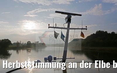 Herbststimmung an der Elbe bei Nieschuetz 18.10.2016