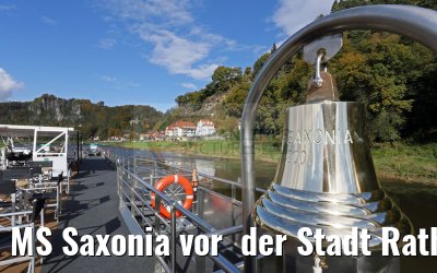 MS Saxonia vor  der Stadt Rathen und Basteifelsen, Sächsische Schweiz, Elbe 19.10.2016
