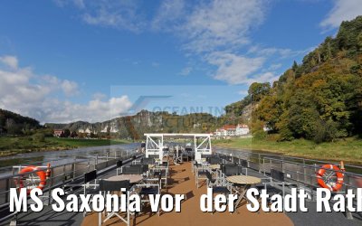 MS Saxonia vor  der Stadt Rathen und Basteifelsen, Sächsische Schweiz, Elbe 19.10.2016