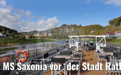 MS Saxonia vor  der Stadt Rathen und Basteifelsen, Sächsische Schweiz, Elbe 19.10.2016