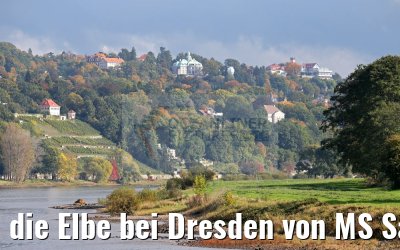die Elbe bei Dresden von MS Saxonia 20.10.2016