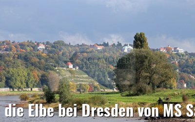 die Elbe bei Dresden von MS Saxonia 20.10.2016