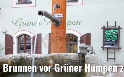 Brunnen vor Grüner Humpen zu Meissen 21.10.2016