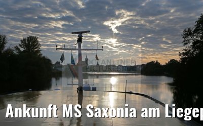 Ankunft MS Saxonia am Liegeplatz Brandenburg 23.10.2016