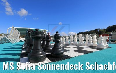MS Sofia Sonnendeck Schachfeld