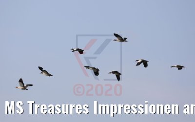 MS Treasures Impressionen an der Lek 13.09.2020