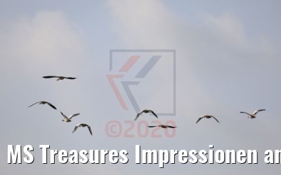 MS Treasures Impressionen an der Lek 13.09.2020
