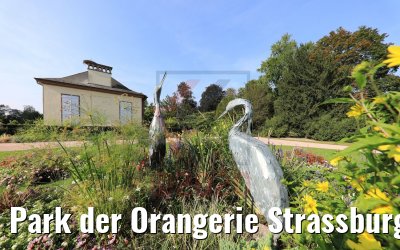 Park der Orangerie Strassburg 19.09.2020