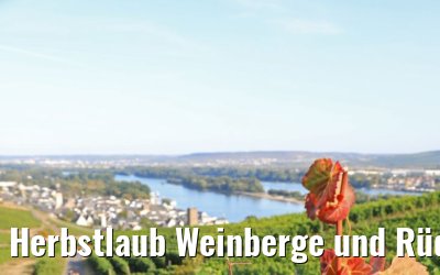 Herbstlaub Weinberge und Rüdesheim 20.09.2020