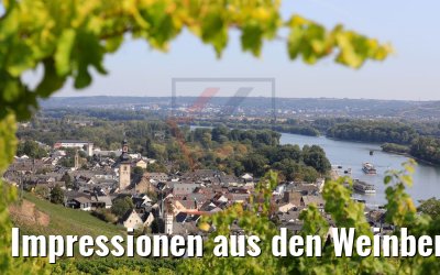 Impressionen aus den Weinbergen Rüdesheim 20.09.2020